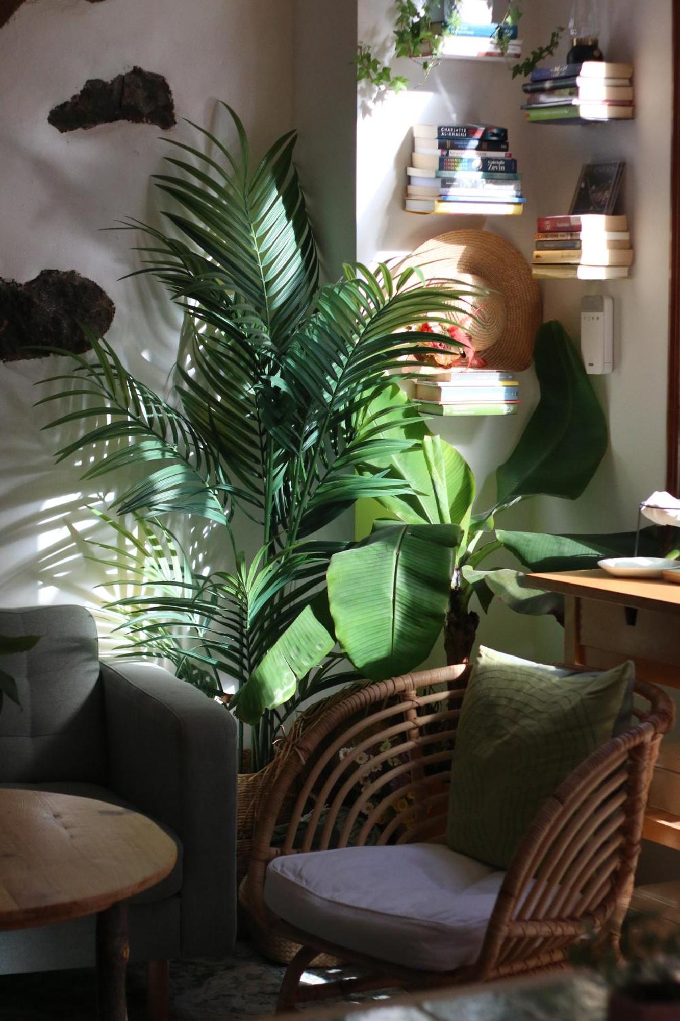 Banana Garden La Palma Hotel ซานตาครูซเดลาปัลมา ภายนอก รูปภาพ